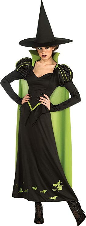 Adult Wicked Witch Dress