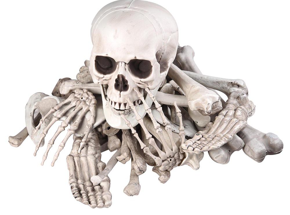 Bag of Skeleton Bones Skull