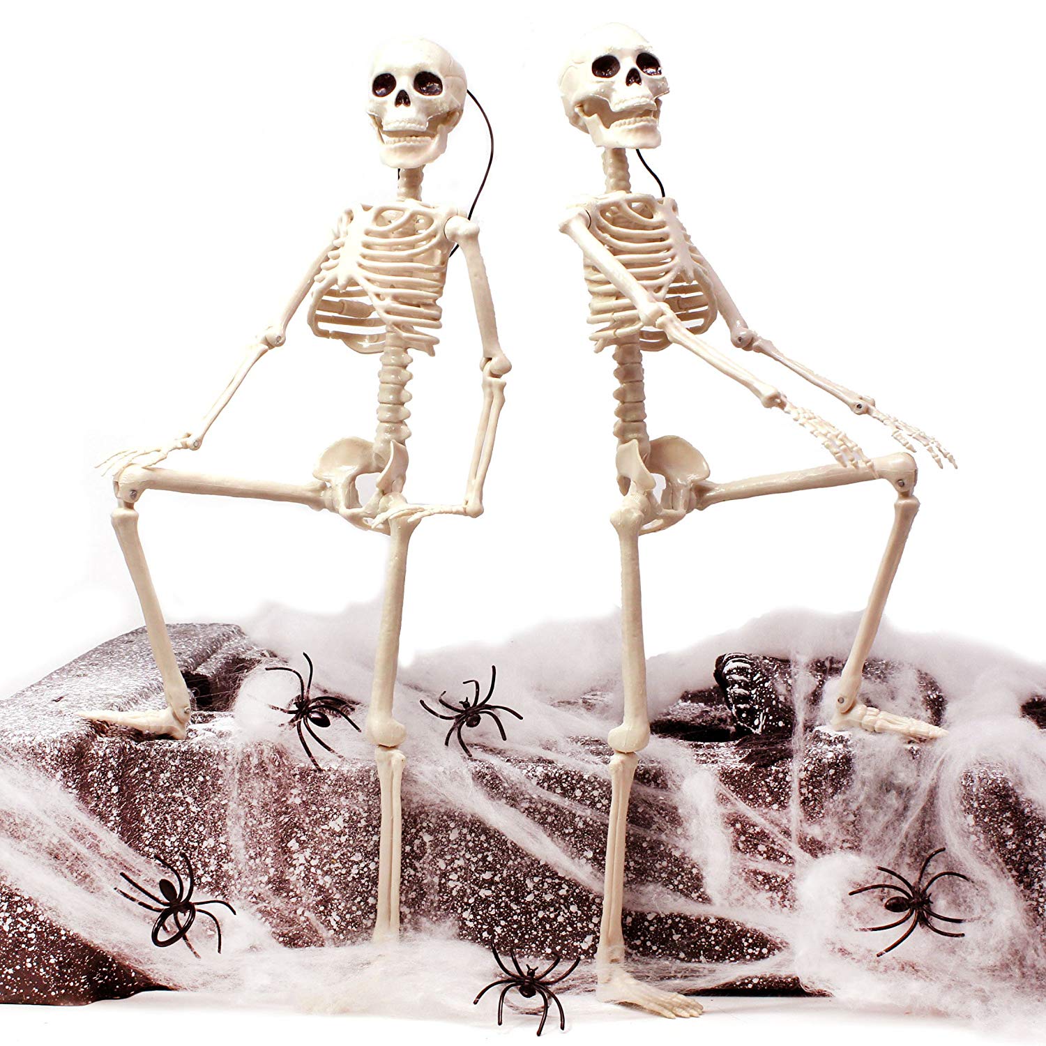 Two Cute Skeletons