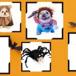 Most Adorable Dog & Cat Halloween Costumes